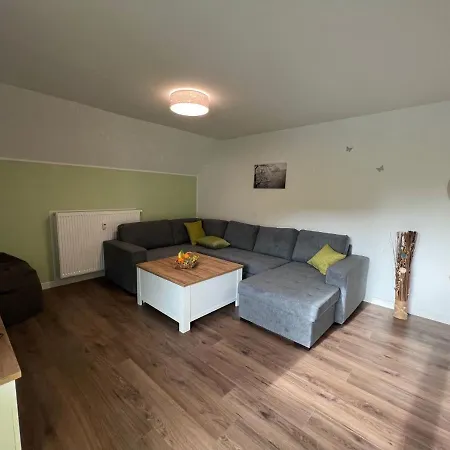 Modern By Ski Area In With Meadow View *