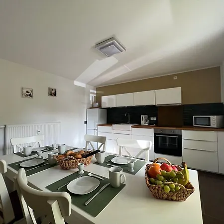 Modern By Ski Area In With Meadow View Apartament Elpe